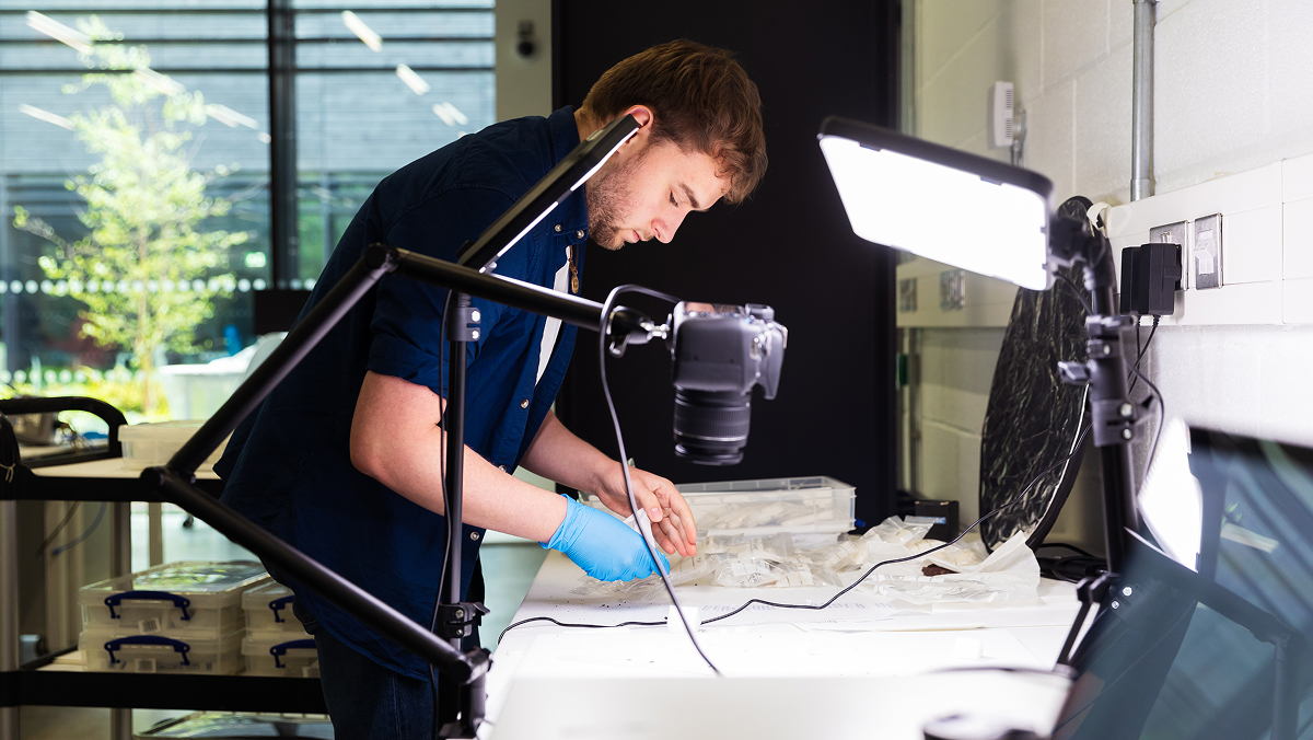 Four students collaborate in the lab
